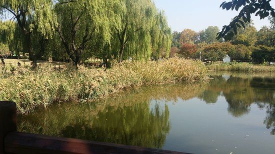 龍山家族公園